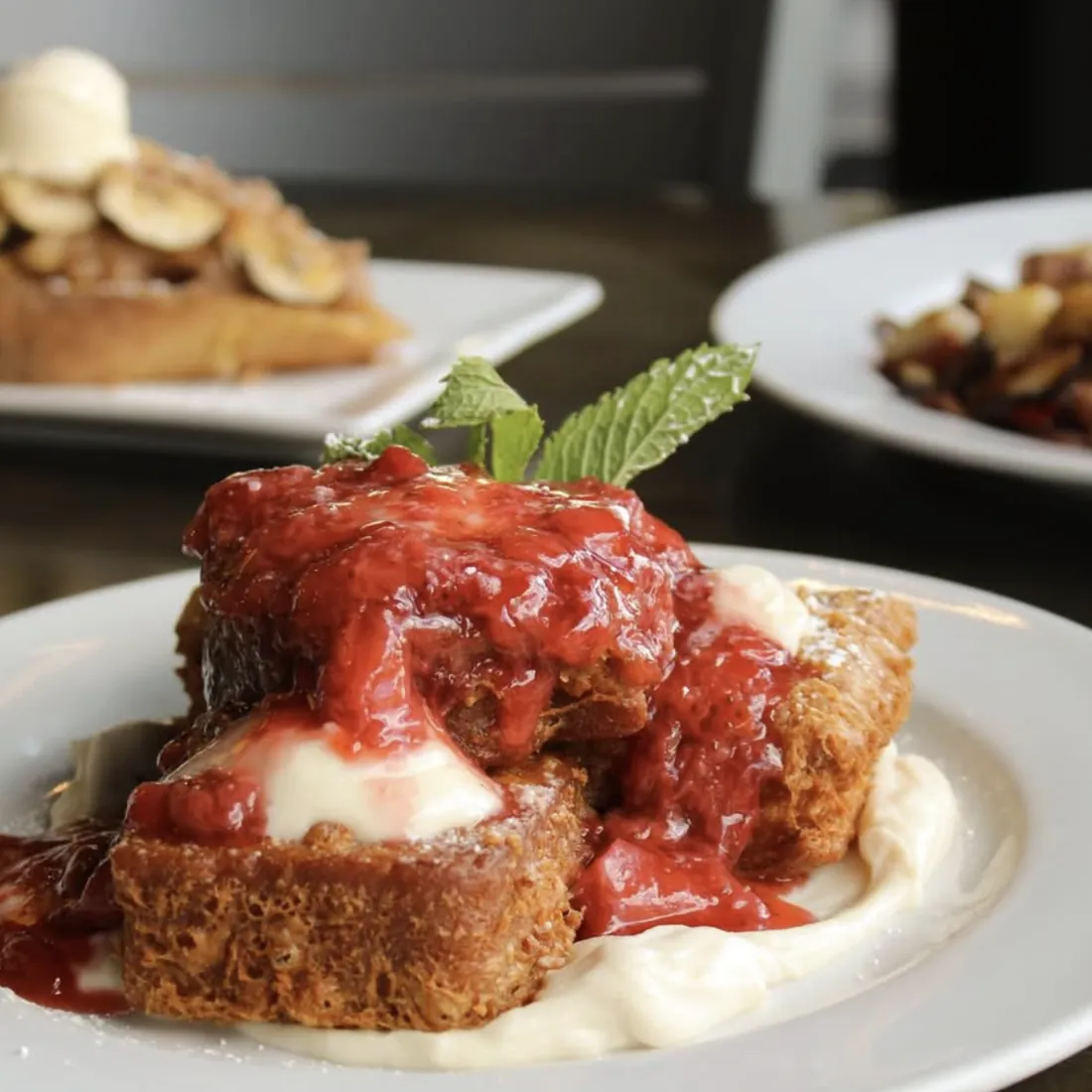 @themimosahouse