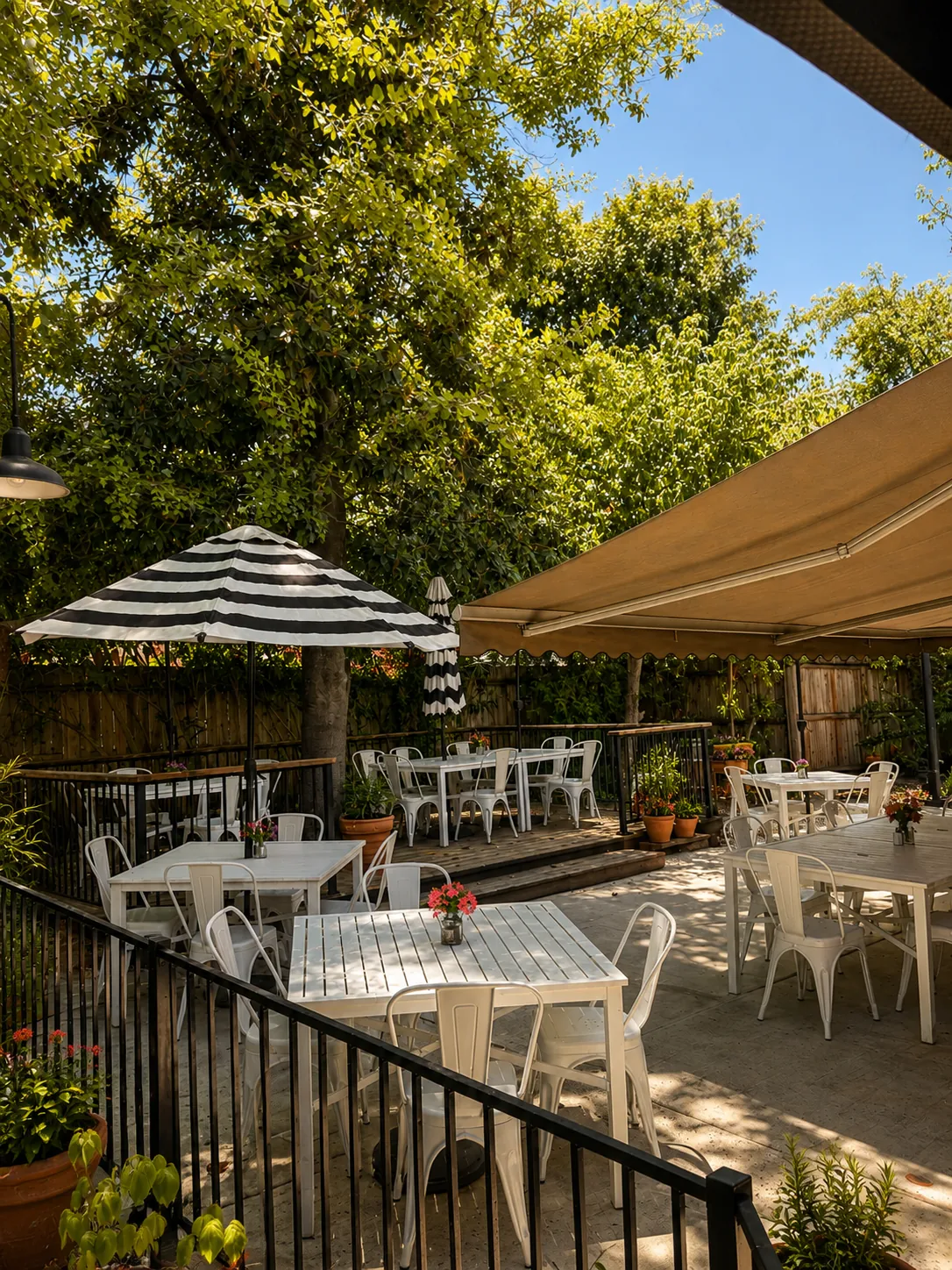 The Mimosa House · Curtis Park